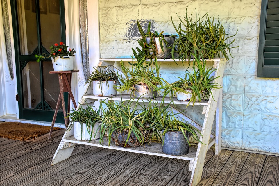 Plants on the porch / Photo source: Pixabay.com